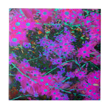 Flores bonito, cor-de-rosa-quente, magenta e azul-