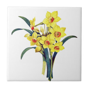 Azulejo De Cerâmica Flores Botânicas Vintage Elegantes Daffodils Amare