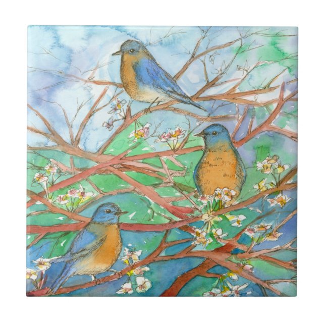 Azulejo De Cerâmica Flores Brancas de Primavera de Árvore de Bluebird (Frente)