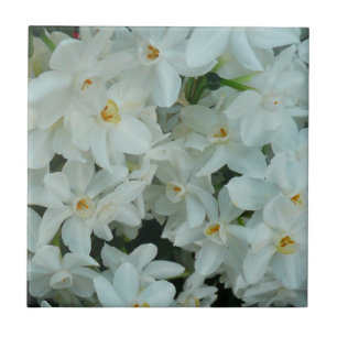 Azulejo De Cerâmica Flores brancas delicadas do narciso de Paperwhite