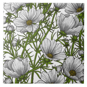 Azulejo De Cerâmica Flores brancas do cosmos