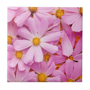 Azulejo De Cerâmica Flores Cor-de-Rosa