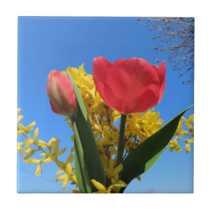 Azulejo De Cerâmica flores da primavera, tulipas, coloridas + flores,
