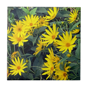 Azulejo De Cerâmica Flores de Alcachofra de Jerusalém