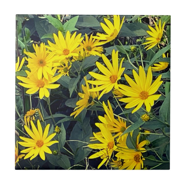 Azulejo De Cerâmica Flores de Alcachofra de Jerusalém (Frente)