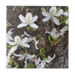 Azulejo De Cerâmica Flores de árvore