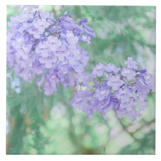 Azulejo De Cerâmica Flores De Árvore Pastel Purple Jacaranda (Frente)