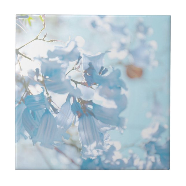Azulejo De Cerâmica Flores de Árvore Pastel Soft Blue Jacaranda (Frente)