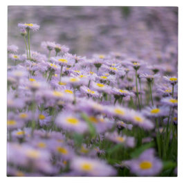 Azulejo De Cerâmica Flores de Aster Roxo