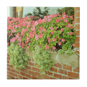 Azulejo De Cerâmica Flores de Caixa de Janela