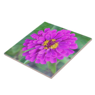 AZULEJO DE CERÂMICA FLORES DE COR DE FUQUIA