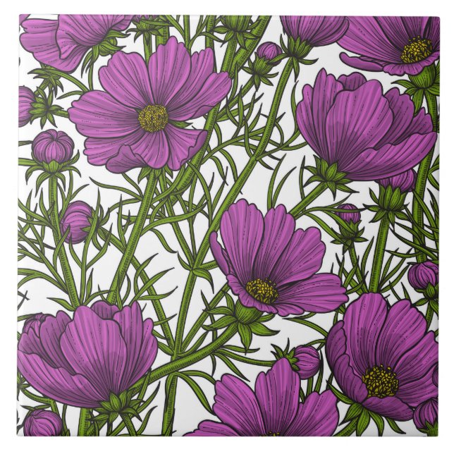 Azulejo De Cerâmica Flores de cosmos violetas (Frente)