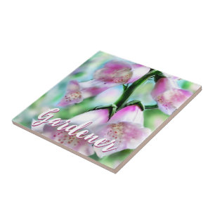 Azulejo De Cerâmica Flores de Dedaleira Floral Rosa Personalizado Jard