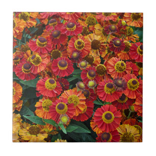 Azulejo De Cerâmica Flores de hélio vermelho e laranja