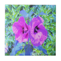 Flores de Hibisco Roxo Maluco Ultra-Violeta