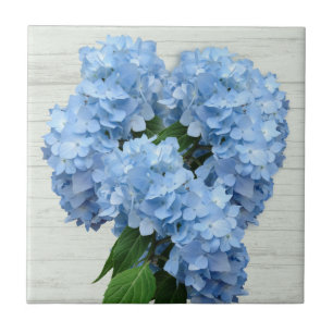 Azulejo De Cerâmica Flores de Hydrangea Azul Claro
