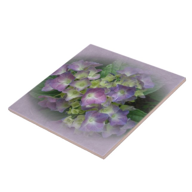 Azulejo De Cerâmica Flores de Hydrangea Azul Roxo (Lateral)