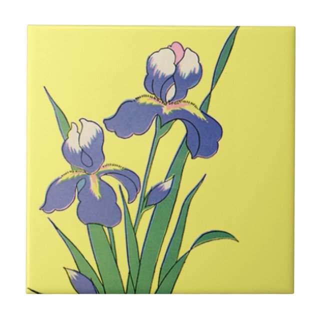 Azulejo De Cerâmica Flores de Íris de Jardim de Primavera Floral Vinta (Frente)