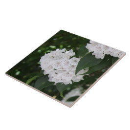 Azulejo De Cerâmica Flores de Laurel da Montanha Branca