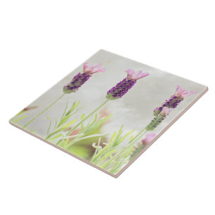 Azulejo De Cerâmica Flores de Lavanda