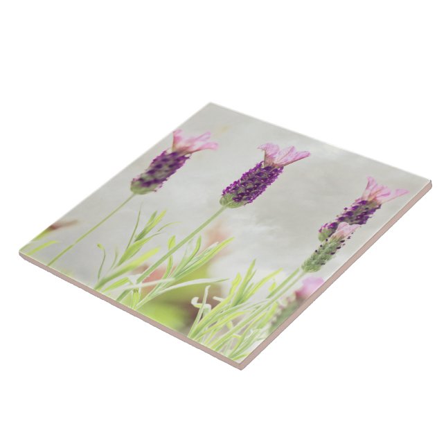 Azulejo De Cerâmica Flores de lavanda (Lateral)