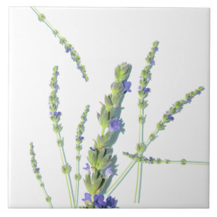 Azulejo De Cerâmica Flores de Lavanda roxas