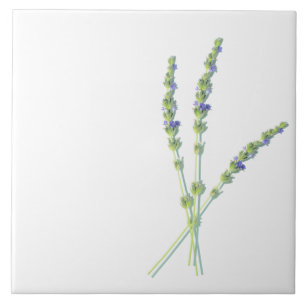 Azulejo De Cerâmica Flores de Lavanda roxas