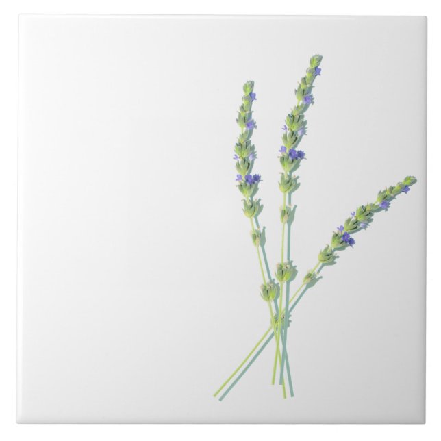 Azulejo De Cerâmica Flores de Lavanda roxas (Frente)