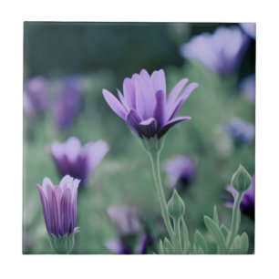 Azulejo De Cerâmica Flores de Lavanda Roxas Delicadas