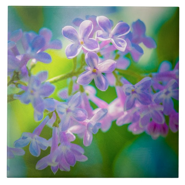 Azulejo De Cerâmica Flores de Lilás Roxo (Frente)