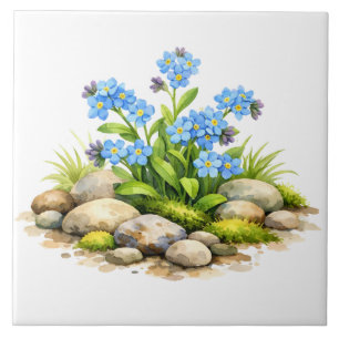 Azulejo De Cerâmica Flores de Não Me Esqueça em Aquarela pelas Rochas