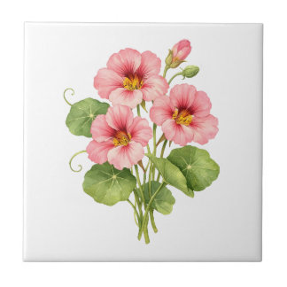 Azulejo De Cerâmica Flores de Nastúrcio Rosa em Aquarela