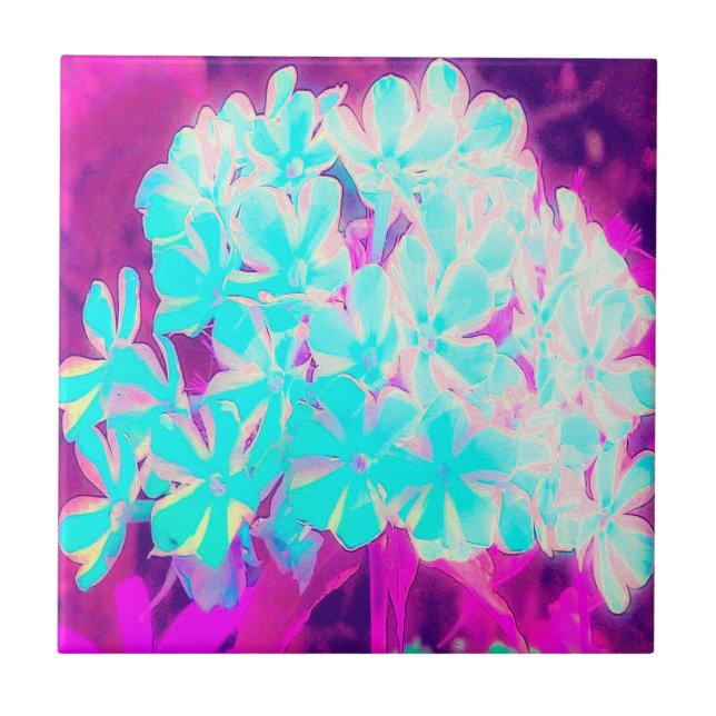 Azulejo De Cerâmica Flores de Phlox Azuis-Peppermint Twist de Robin (Frente)