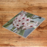 Azulejo De Cerâmica Flores de Plantas Hoya Floral<br><div class="desc">Azulejo cerâmico que mostra a foto das bonito,  pequenas flores da Hoya Plant,  comumente chamada de Wax Plant. Um design floral adorável! Selecione o tamanho do seu azulejo. Faz uma trivet de cozinha excelente!</div>
