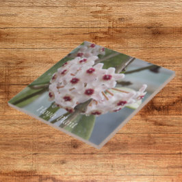 Azulejo De Cerâmica Flores de Plantas Hoya Floral