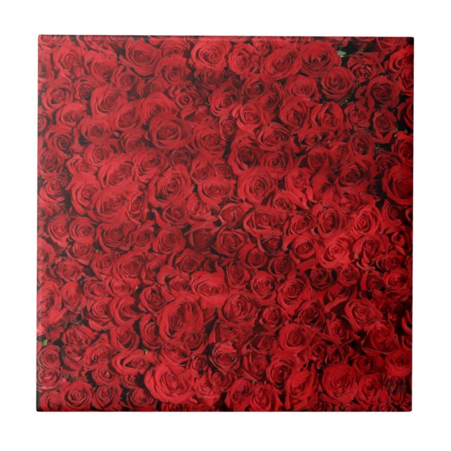 Azulejo De Cerâmica Flores de rosa vermelha (Frente)