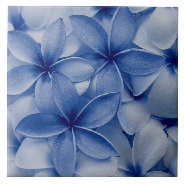 Azulejo De Cerâmica Flores de Sapphire e Azure (Frente)