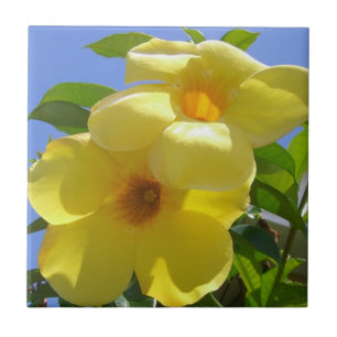 Azulejo De Cerâmica Flores de Trompetes do ouro I