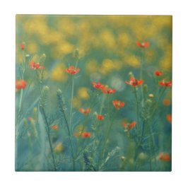Azulejo De Cerâmica Flores De Verão (Campo Floral) (Flores Vermelhas)