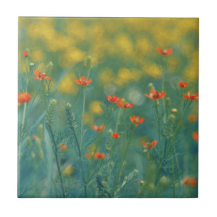 Azulejo De Cerâmica Flores De Verão (Campo Floral) (Flores Vermelhas)