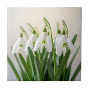 Azulejo De Cerâmica Flores Delicadas de Neve Galanthus Florem na Prima