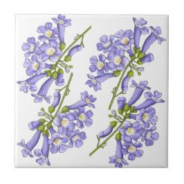 Azulejo De Cerâmica Flores do Brasil jacaranda