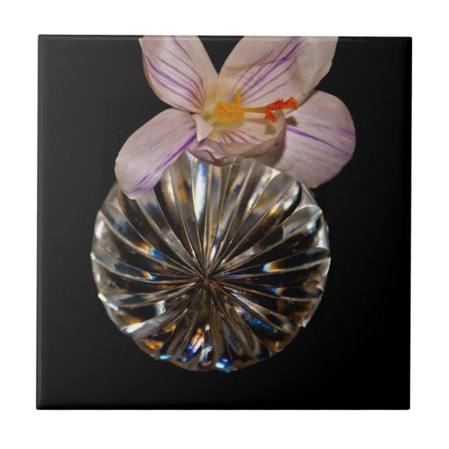 Azulejo De Cerâmica Flores e Cristal (Frente)