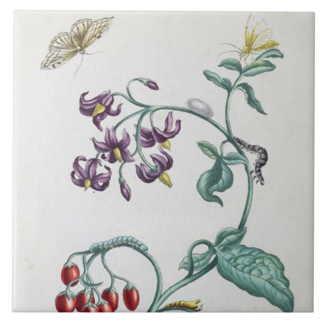 Azulejo De Cerâmica flores e insetos de safra (Frente)