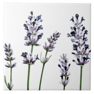 Azulejo De Cerâmica Flores florais roxas de Lavendar   Pastel