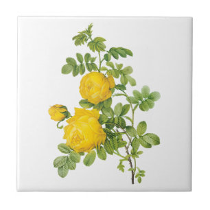 Azulejo De Cerâmica Flores Florais Vintage, Rosas Amarelas por Redoute