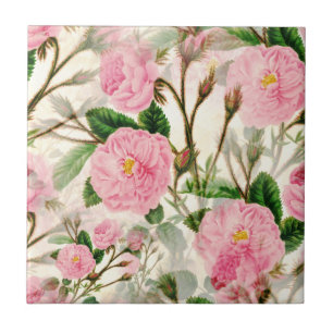 Azulejo De Cerâmica Flores, Folhas e Combustíveis de Península Rosa