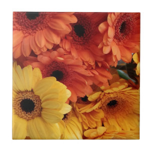 Azulejo De Cerâmica Flores Gerbera Brilhantes, Amarelo Laranja, Flora