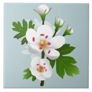 Azulejo De Cerâmica Flores Hawthorn
