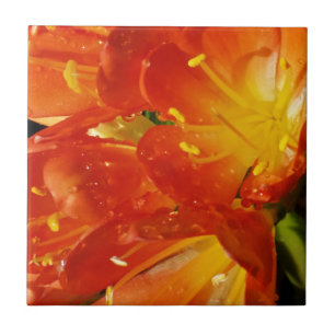 Azulejo De Cerâmica Flores Laranja